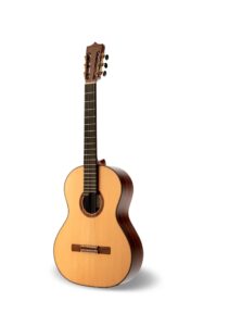 Classical Guitar Aline
