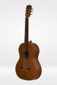 Classical Guitar Elia
