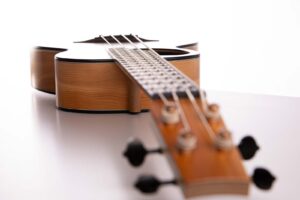 Bass Ukulele