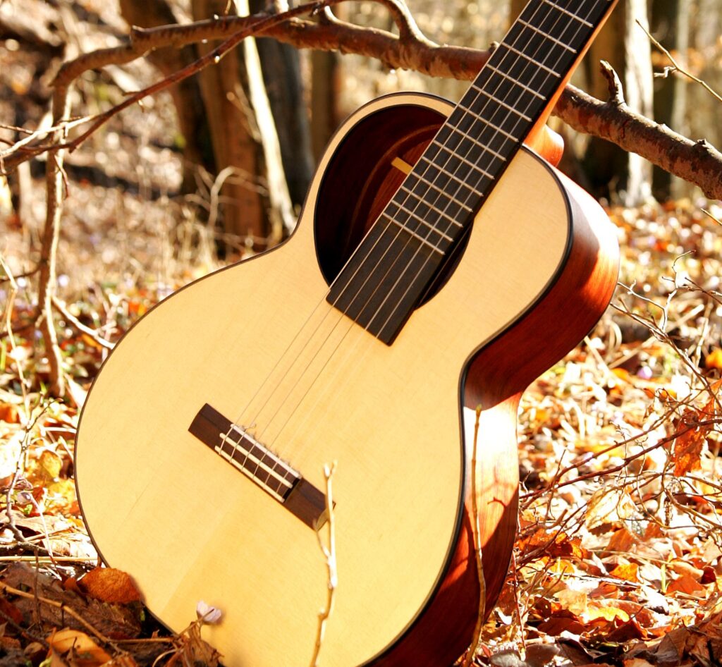 Classical Guitar Santiago